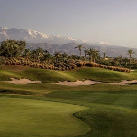 Fairmont Royal Palm Golf & Country Club image 5