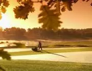 Terre Blanche Resort Golf & Spa