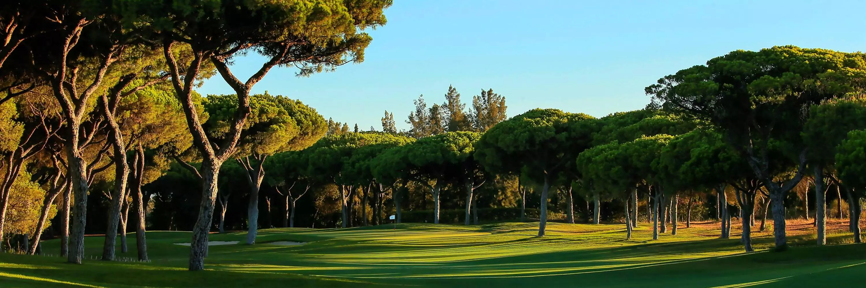 Millennuim Golf Course Dom Pedro