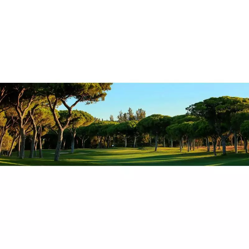 Millennuim Golf Course Dom Pedro