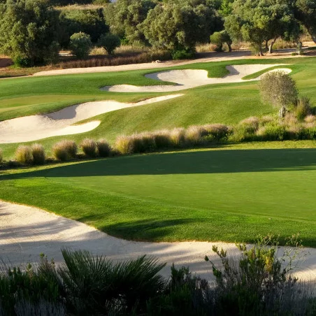 Amendoiera Golf Resort image 1