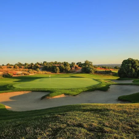 Amendoiera Golf Resort image 3