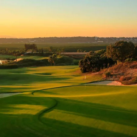 Amendoiera Golf Resort image 5