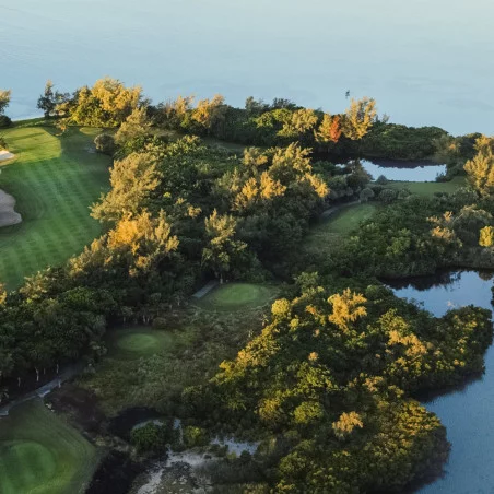 Île Aux Cerfs Golf Club image 3