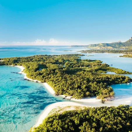 Île Aux Cerfs Golf Club image 4