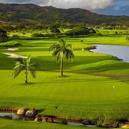 Four Seasons L'Anahita Golf Club image 2
