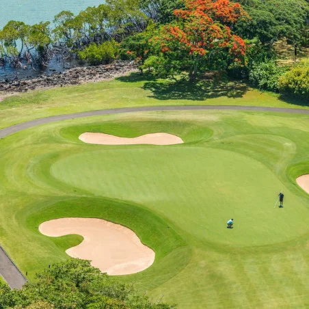 Four Seasons L'Anahita Golf Club image 4