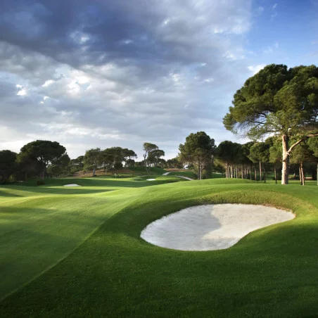 The Montgomerie Maxx Royal image 4