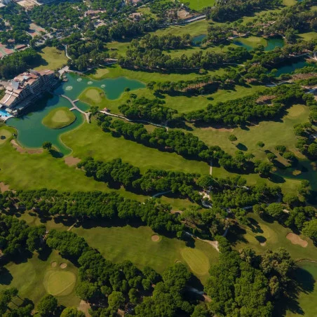 Sueno Golf Club image 4