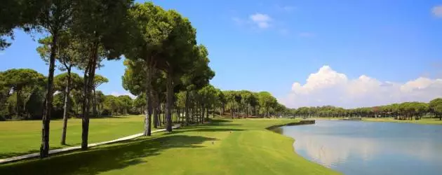 Robinson Golf Club Nobilis