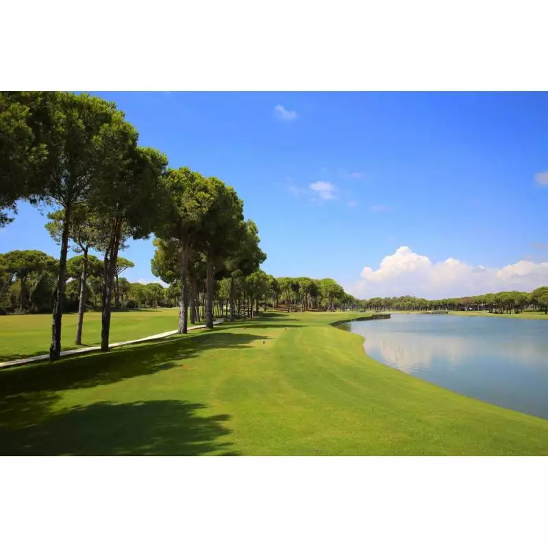 Robinson Golf Club Nobilis