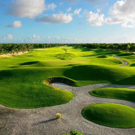 Le Punta Espada Golf image 5