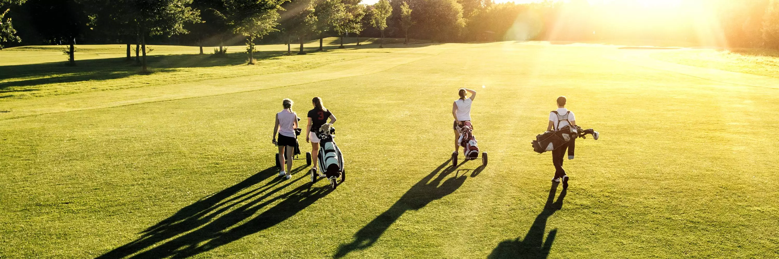 Golf du Roncemay (89) - Stage Perfectionnement 2 Jrs / 6 Hrs avec Edmond Certifié MRP