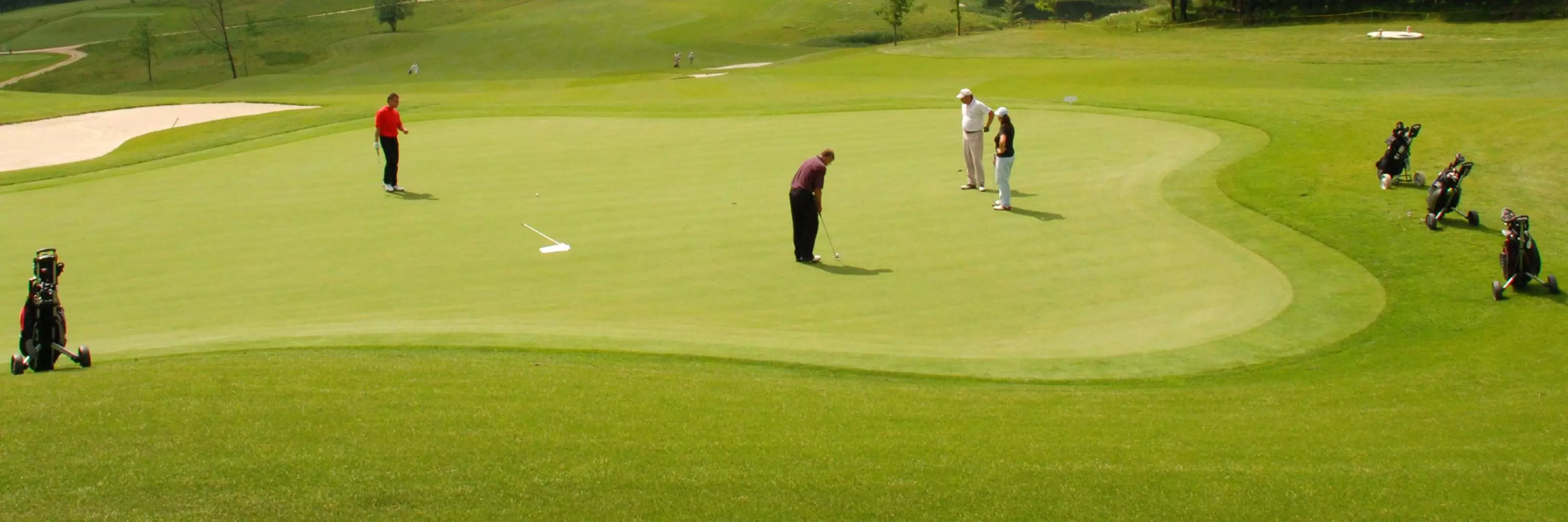 Golf du Roncemay (89) - Stage Perfectionnement 5 Jrs / 15 Hrs avec Edmond Certifié MRP