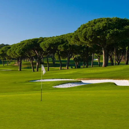 Quinta do Peru Golf & Country Club image 3