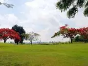 Las Aromas Golf Club