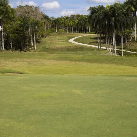 punta cana golf