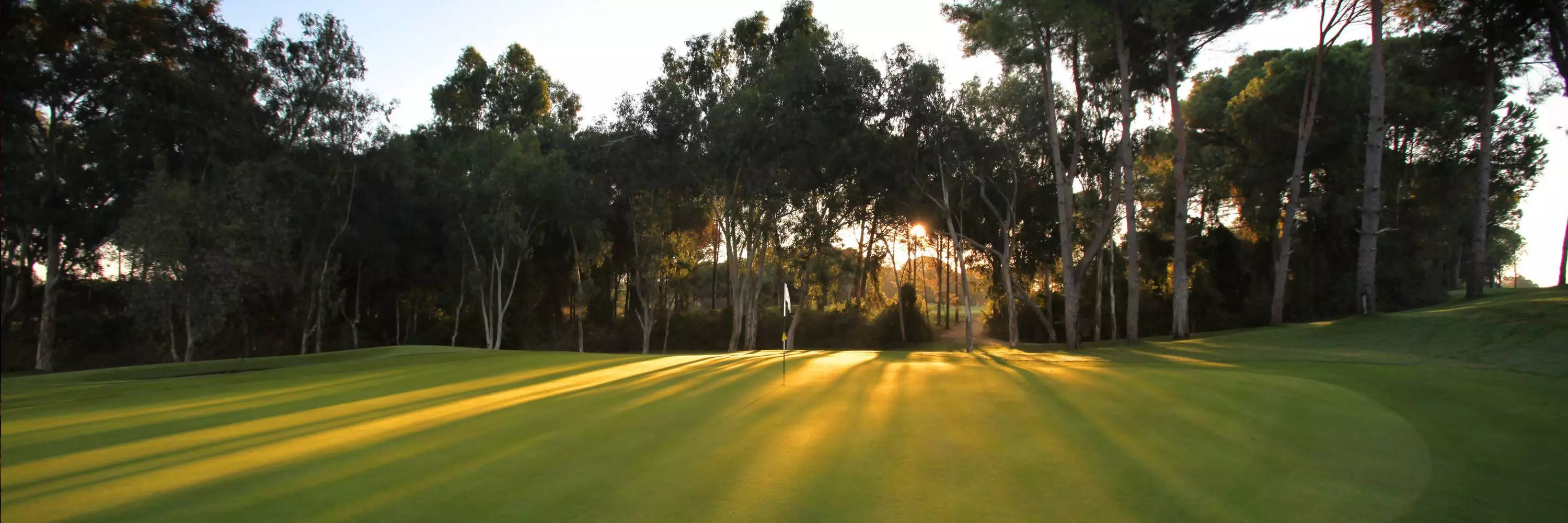 El plantio golf espagne