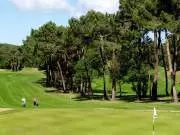 Golf de Royan