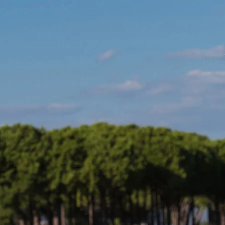 Enseignant certifié MRP Golf - Académie Provence Côtes d'Azur image 1