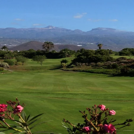 Golf del Sur image 1