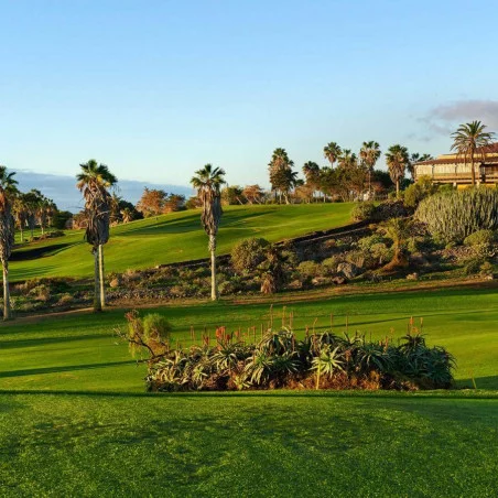 Golf del Sur image 2