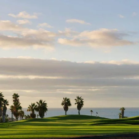 Golf del Sur image 5