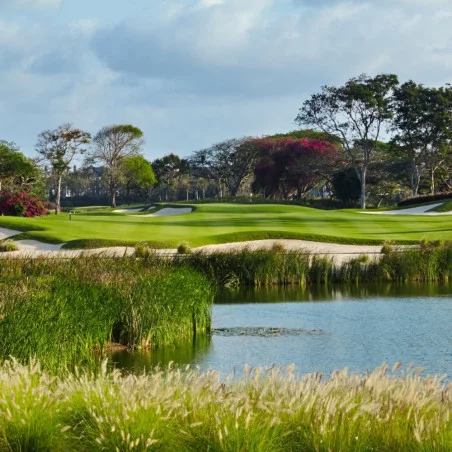 Bali National Golf Club image 4