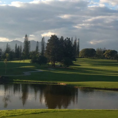 Mijas Golf International SAU image 1