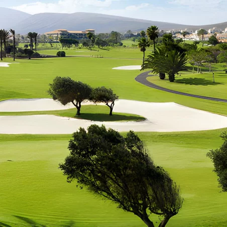 Fuerteventura Golf Club image 2