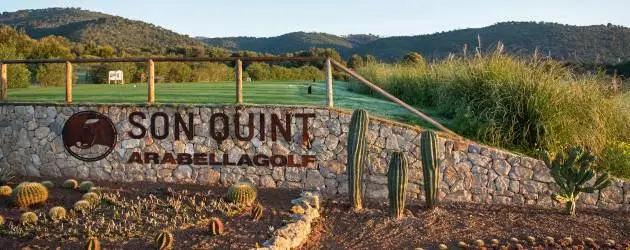 Golf Son Quint