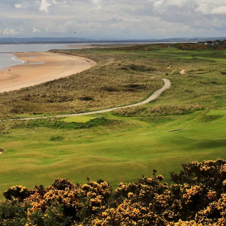 Royal Dornoch Golf Club image 1