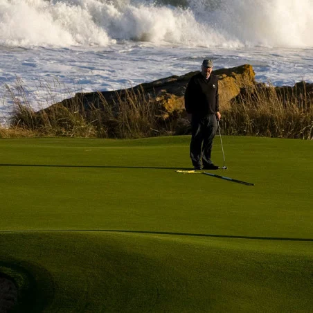 Royal Dornoch Golf Club image 3