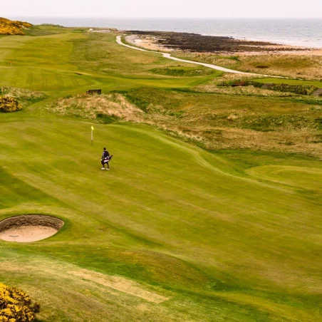Royal Dornoch Golf Club image 4