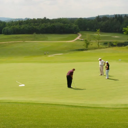 Golf de la Bresse (01) - Stage perfectionnement de 3 jours / 9 heures avec Alain notre pro EGF