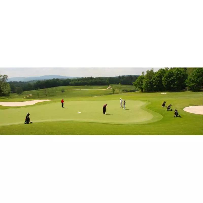 Golf de la Bresse (01) - Stage perfectionnement de 5 jours / 15 heures avec Alain