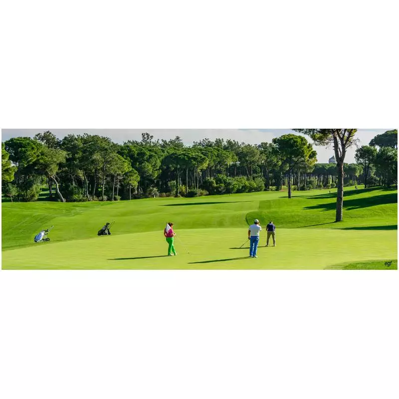 Golf de Saint Saens (76) - Stage en formule VIP DUO de 2 Jrs avec Christian