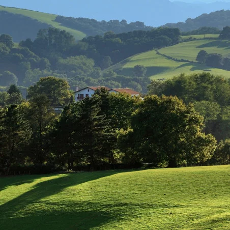 Golf Biarritz (64) Stage spécial golf santé de 5 jours / 20 heures avec magali notre pro EGF certifié MRP 