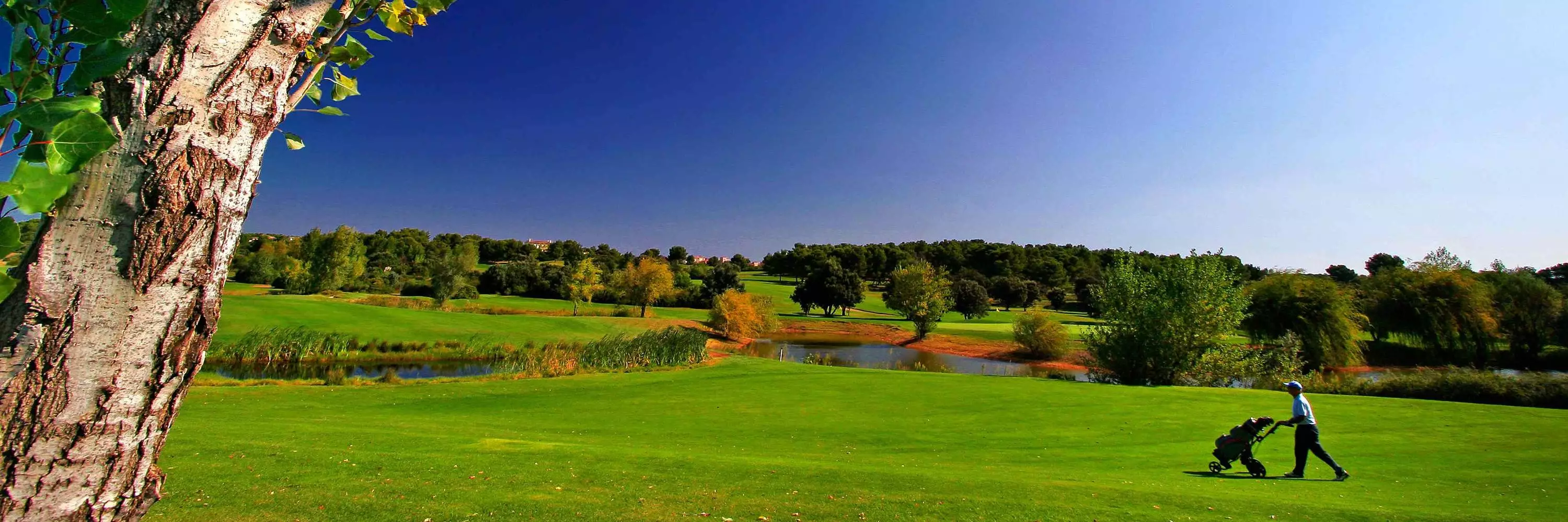 Golf de Saint-Thomas