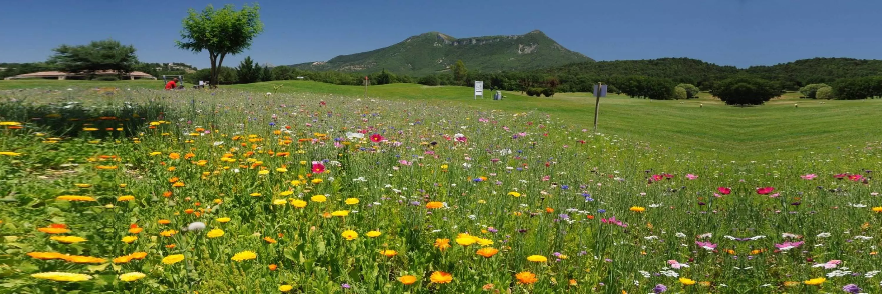 Golf de Digne les Bains