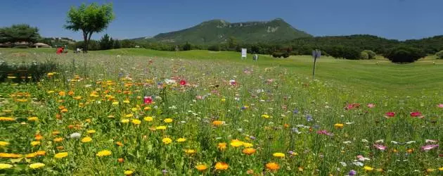 Golf de Digne les Bains