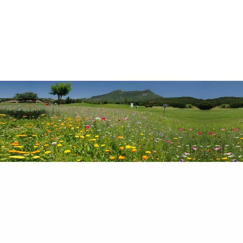 Golf de Digne les Bains