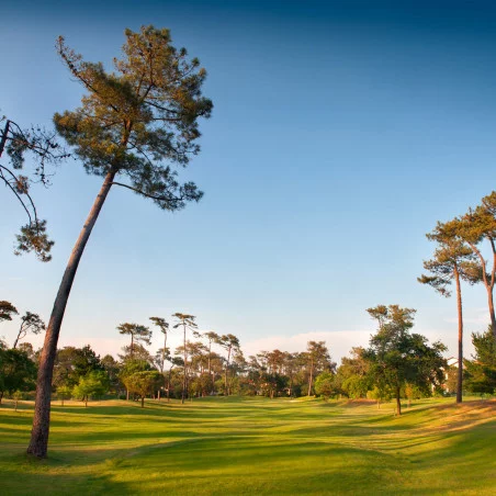 Golf de Chiberta image 5