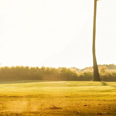 Biarritz (64) - Stage en formule VIP DUO de 4 jours / 24 heures sur 4 golfs différents avec Magali notre pro EGF certifié MRP 