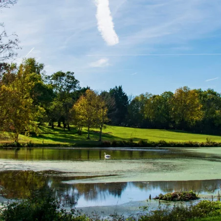 Golf du Clou image 1