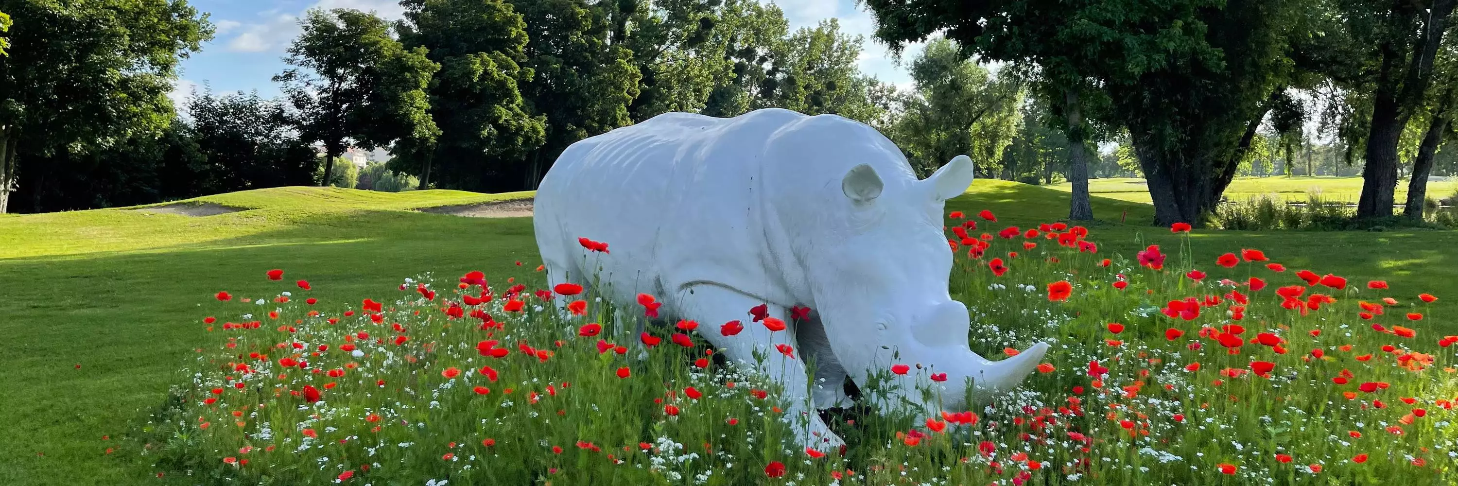 Golf de l'Île Fleurie