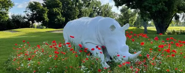 Golf de l'Île Fleurie