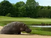 Paris International Golf Club