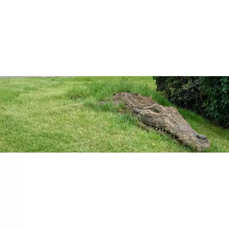 Paris International Golf Club