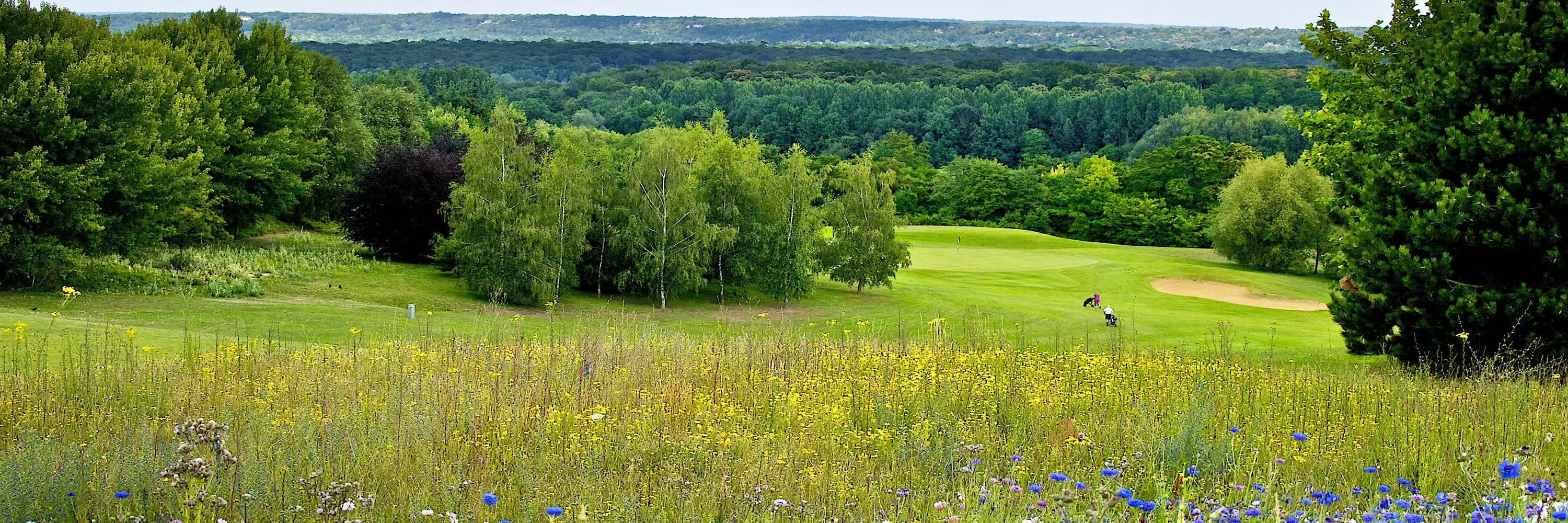 Golf Hôtel de Mont Griffon